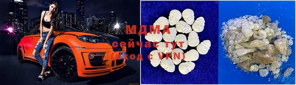 индика Елизово