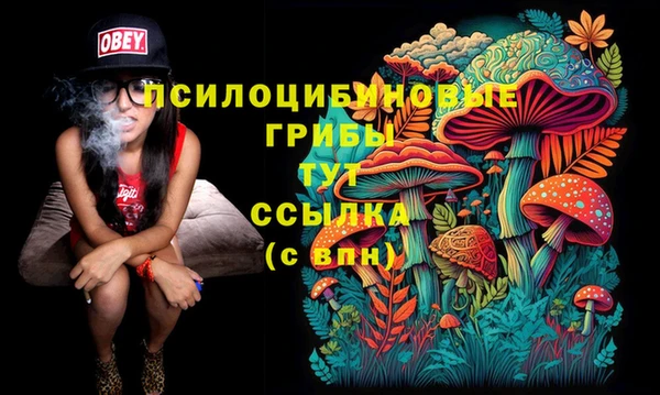 мет Дмитриев