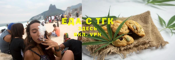 индика Елизово