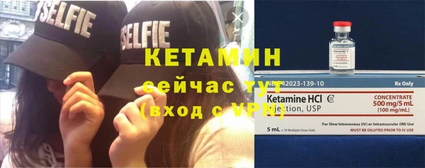 крисы Дмитров