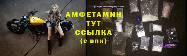 крисы Дмитров