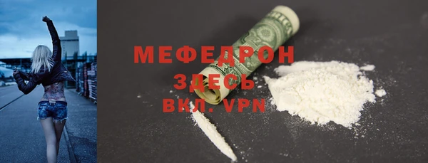 индика Елизово