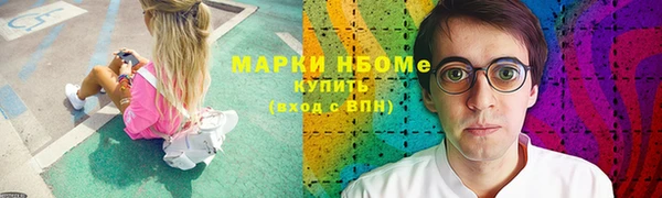 индика Елизово