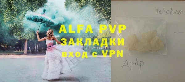 крисы Дмитров