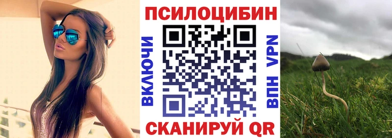 Купить где  Боготол  Псилоцибиновые грибы MAGIC MUSHROOMS 